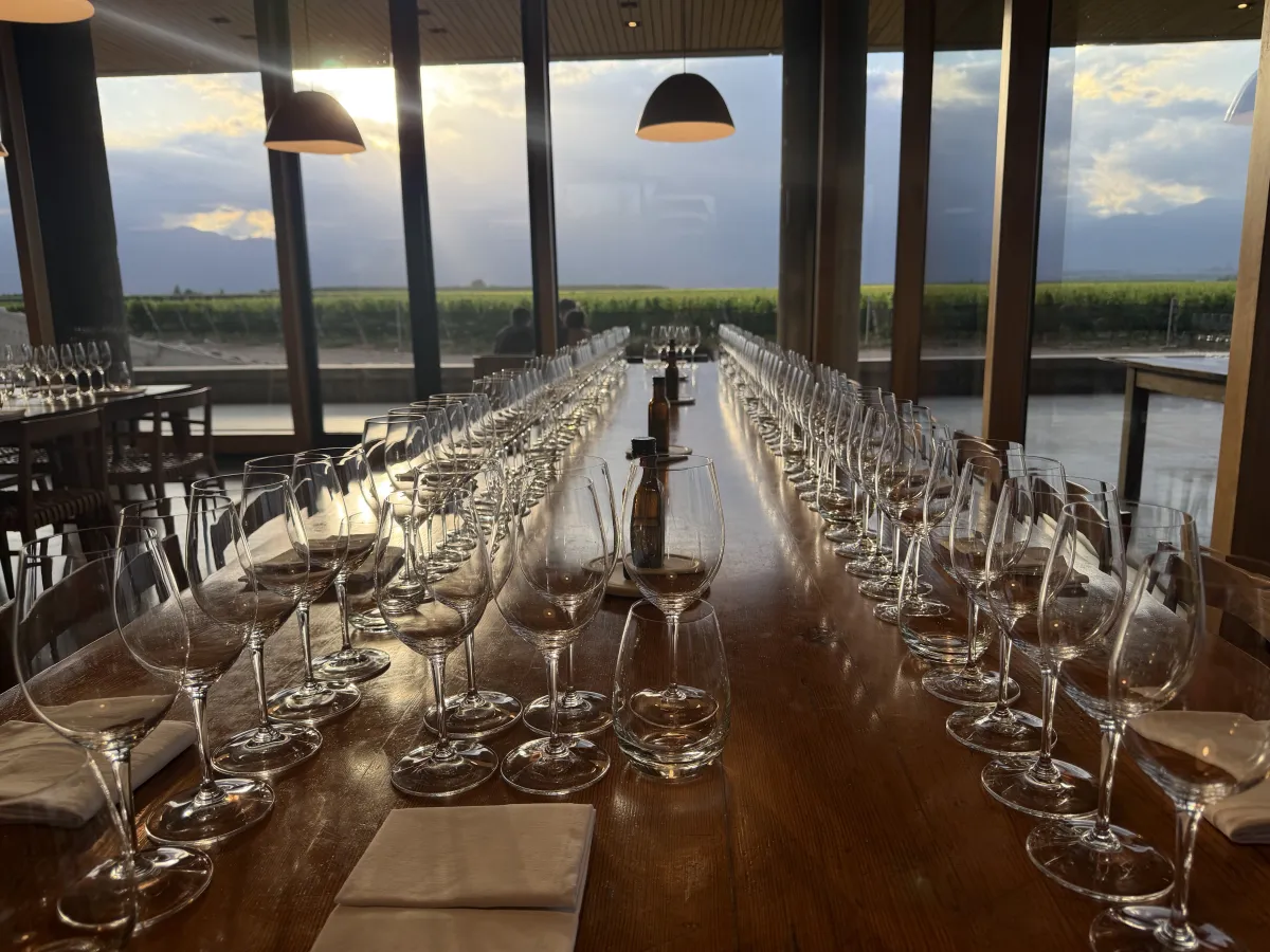 Valle de Uco Wineries and Activities We Recommend